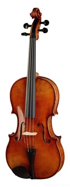 Karl Hofner AS-060-VA 16" - Альт (серия Alfred Stingl). КОМПЛЕКТ - кейс + смычок в магазине для музыкантов Рок-н-Ролл