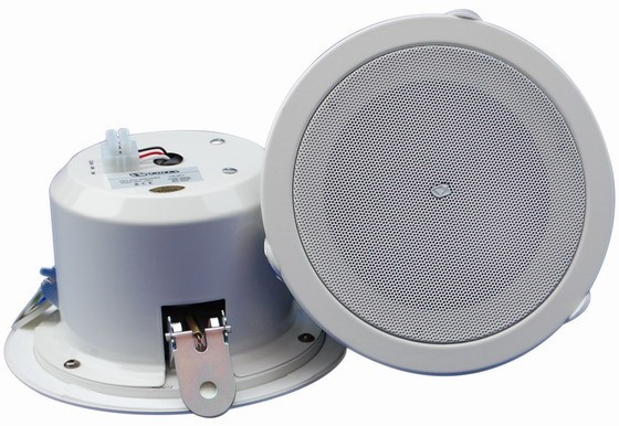 VOLTA CS-6FT - Потолочный громкоговоритель с огнезащитным колпаком в магазине для музыкантов Рок-н-Ролл
