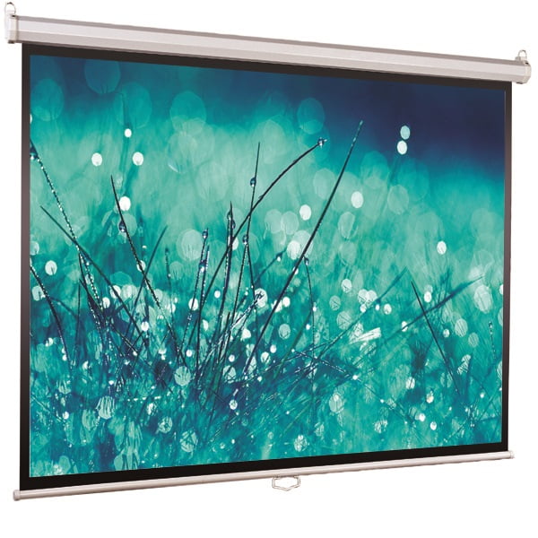 ViewScreen Scroll (4:3) 305*229 (299*223) MW в магазине для музыкантов Рок-н-Ролл