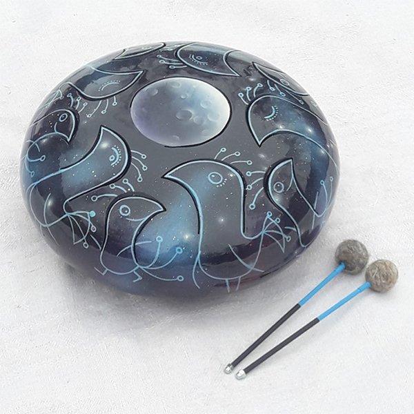 Pangooda Drums PNG-30PC - Глюкофон «Созвездие птиц» 30см, с палочками и чехлом в магазине для музыкантов Рок-н-Ролл