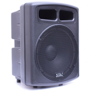 Soundking FP0115A - Активный сабвуфер, 300/600 Вт, 15", 97/126 dB, 40-115Hz, input(XLR) в магазине для музыкантов Рок-н-Ролл
