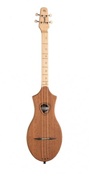 Seagull 040803 M4 G Mahogany - Дульцимер в магазине для музыкантов Рок-н-Ролл