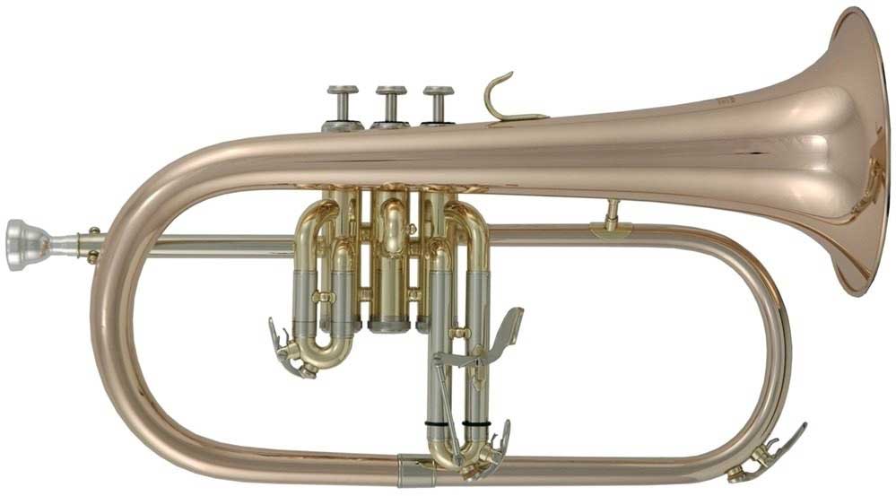 ROY BENSON FH-302G Bb - флюгельгорн (цвет золото) в магазине для музыкантов Рок-н-Ролл