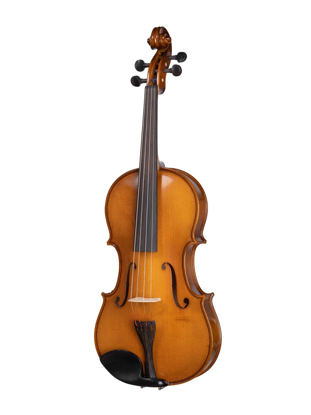 Gliga B-V165 Beginer Genial 2 Nitro - Альт в магазине для музыкантов Рок-н-Ролл