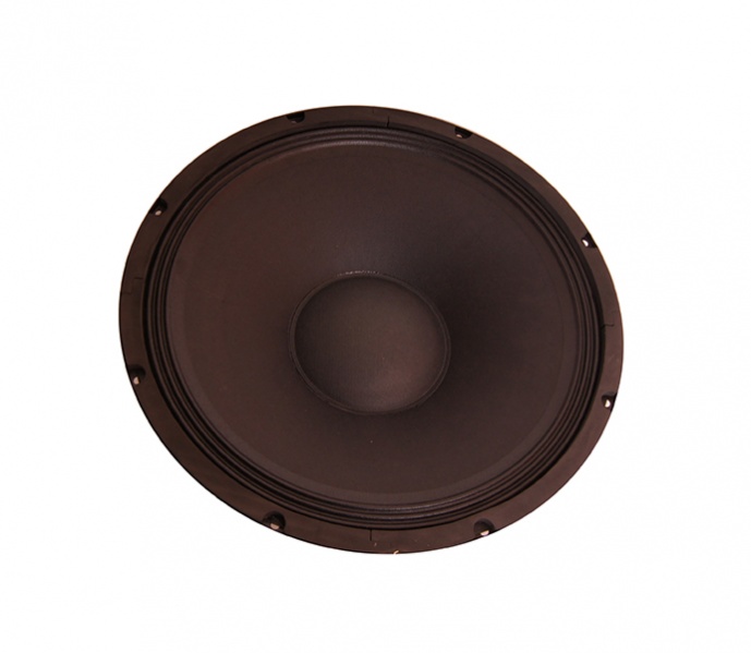 Leem Speaker-ABS12AL - Динамик НЧ-СЧ 12'', 4 Ом в магазине для музыкантов Рок-н-Ролл
