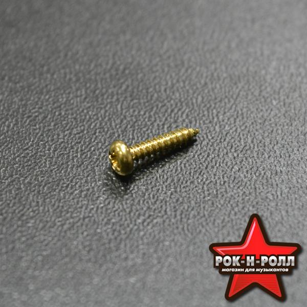 PARTS WR2110GD - Шуруп (колк. мех, крышка анкера), 2.1*10мм, полукругл., цв-золото в магазине для музыкантов Рок-н-Ролл