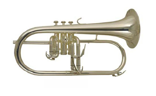 Wisemann FLH-600SP - флюгельгорн Bb студенческий, посеребренный в магазине для музыкантов Рок-н-Ролл