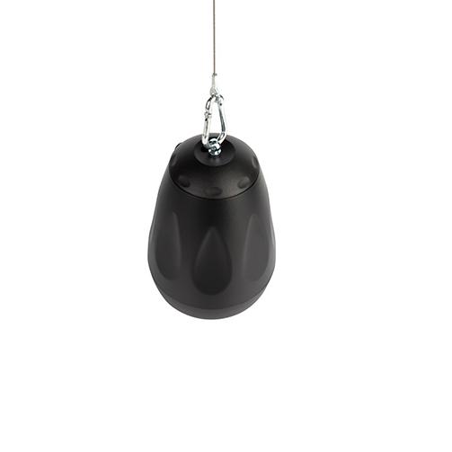 CVGaudio CS416TBL - Подвесная двухполосная акустическая систем, 100V режим - 3,75/7,5/15/30W в магазине для музыкантов Рок-н-Ролл
