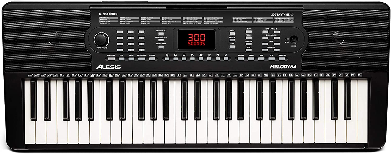 ALESIS HARMONY 54 - Синтезатор со встроенными динамиками и клавиатурой с 54 клавишами в магазине для музыкантов Рок-н-Ролл
