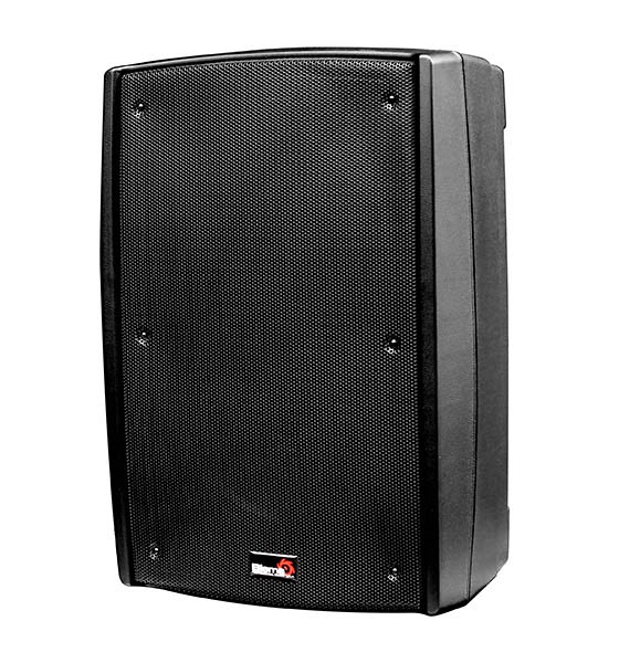 Biema B2-115 - Пассивная акустическая система, 450Вт в магазине для музыкантов Рок-н-Ролл