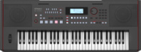 Roland E-X50 - Синтезатор с автоаккомпанементом, 61 клавишей (чувствительной к нажатию) в магазине для музыкантов Рок-н-Ролл Roland E-X50 - Синтезатор с автоаккомпанементом, 61 клавишей (чувствительной к нажатию) в магазине для музыкантов Рок-н-Ролл