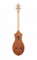 Seagull 042517 M4 Merlin Mahogany EQ - Дульцимер со звукоснимателем в магазине для музыкантов Рок-н-Ролл