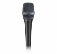 Carol AC-900 BLACK - микрофон вокальный динамический суперкардиоидный в магазине для музыкантов Рок-н-Ролл