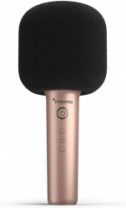 Maono MKP100 (champagne gold) - караоке микрофон, bluetooth 5.0, встроенные динамики в магазине для музыкантов Рок-н-Ролл Maono MKP100 (champagne gold) - караоке микрофон, bluetooth 5.0, встроенные динамики в магазине для музыкантов Рок-н-Ролл