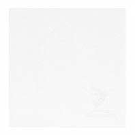Analog Renaissance AR-5220 - Салфетка микрофибра, 20х20, White в магазине для музыкантов Рок-н-Ролл Analog Renaissance AR-5220 - Салфетка микрофибра, 20х20, White в магазине для музыкантов Рок-н-Ролл
