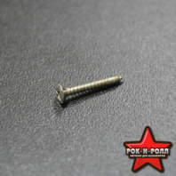 PARTS WO2116NI - Шуруп (рамка хамбак.), 2.1*16мм, потай, цв-никель в магазине для музыкантов Рок-н-Ролл