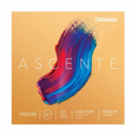 D'Addario A310-1/2M Ascente - Комплект струн для скрипки 1/2, среднее натяжение в магазине для музыкантов Рок-н-Ролл D'Addario A310-1/2M Ascente - Комплект струн для скрипки 1/2, среднее натяжение в магазине для музыкантов Рок-н-Ролл