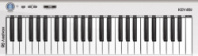 Axelvox KEY49j White - 4-октавная (49 клавиш) динамическая MIDI клавиатура USB в магазине для музыкантов Рок-н-Ролл