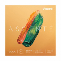 D'Addario A410-MM Ascente - Комплект струн для альта, среднее натяжение в магазине для музыкантов Рок-н-Ролл D'Addario A410-MM Ascente - Комплект струн для альта, среднее натяжение в магазине для музыкантов Рок-н-Ролл
