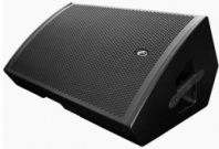 DAS Audio SML-15 - Пассивный двухполосный сценический монитор в магазине для музыкантов Рок-н-Ролл DAS Audio SML-15 - Пассивный двухполосный сценический монитор в магазине для музыкантов Рок-н-Ролл