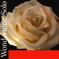Pirastro 410021 Wondertone Solo - Комплект струн для скрипки (синтетика) в магазине для музыкантов Рок-н-Ролл Pirastro 410021 Wondertone Solo - Комплект струн для скрипки (синтетика) в магазине для музыкантов Рок-н-Ролл